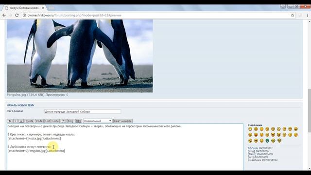 Как создать тему на форуме? смотреть онлайн