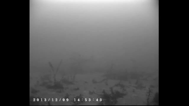 Ice cam test 2 смотреть онлайн