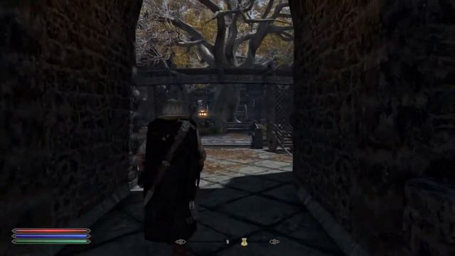 Smooth Whiterun (heavily modded xbox one S) смотреть онлайн