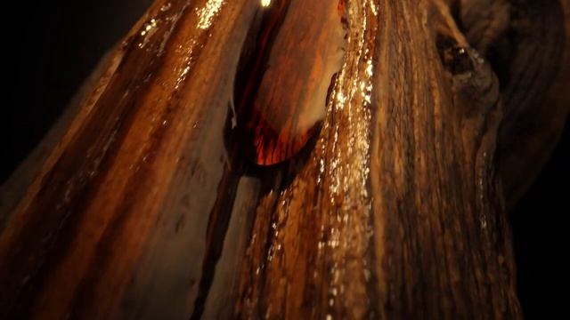 Hugo Boss Boss Bottled Elixir Parfum 2023 - Parfumi.net смотреть онлайн