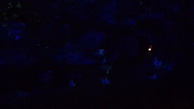 сказка про мышат(2) смотреть онлайн