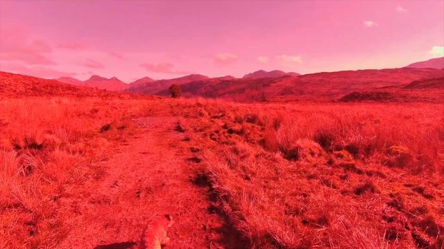 Cheap Acton Camera - is it any good? Akaso Brave 7 review смотреть онлайн