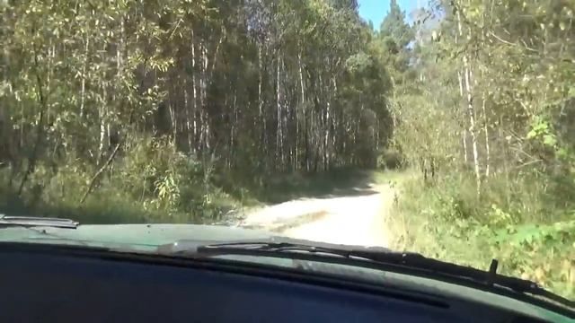 Поездка за грибами на 123 Мерседесе 3 л дизель. смотреть онлайн