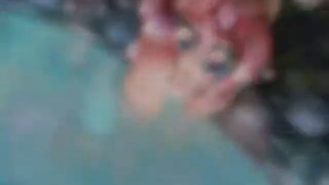 КРУТЕЙШИЕ АРТЫ ПОНИ!!! часть1 смотреть онлайн