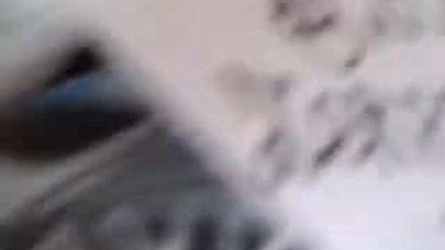 Спанч боб рисунок на бумаге смотреть онлайн