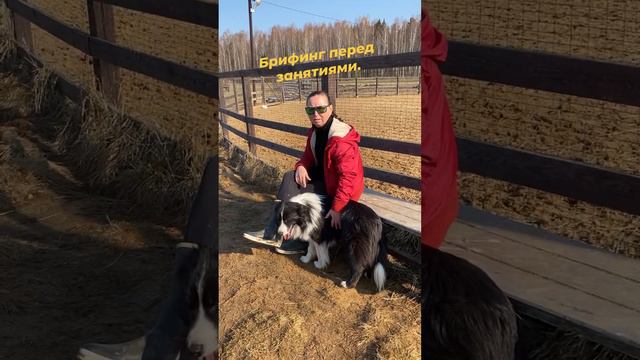 Брифинг смотреть онлайн