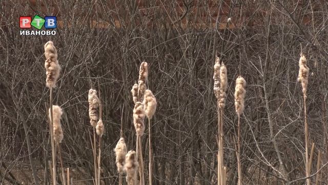 Почему частный сектор оказался в болоте? смотреть онлайн