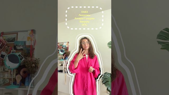 Органоиды клетки