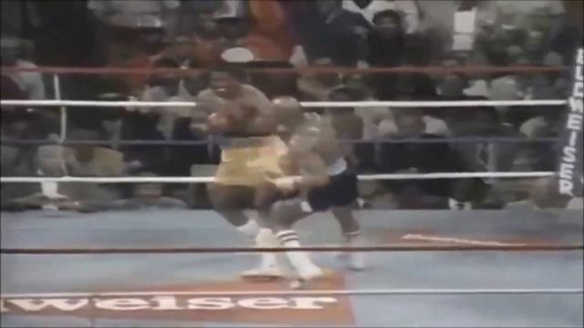 Marvelous Marvin Hagler Tribute смотреть онлайн