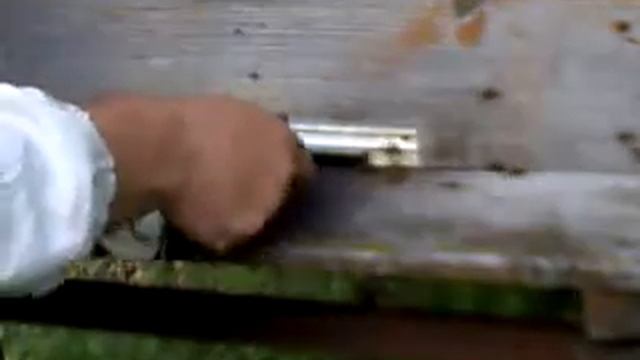 Лечение пчёл от аскосфероза на пасеке смотреть онлайн