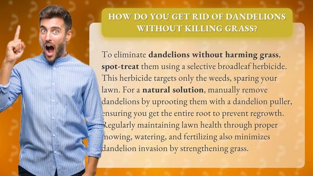 How do you get rid of dandelions without killing grass? смотреть онлайн