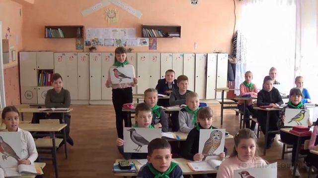 Забота о пернатых друзьях Краснодонская школа №2 смотреть онлайн