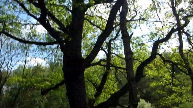 Братц на природе смотреть онлайн