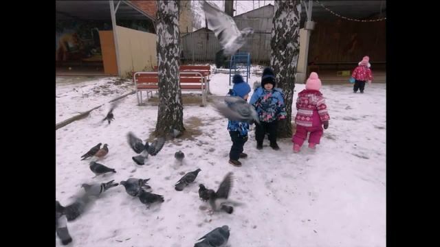 акция _Поделитесь с птицами едой!_.mp4 смотреть онлайн