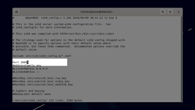 DEBIAN: SSH unter Linux installieren und Port ändern смотреть онлайн