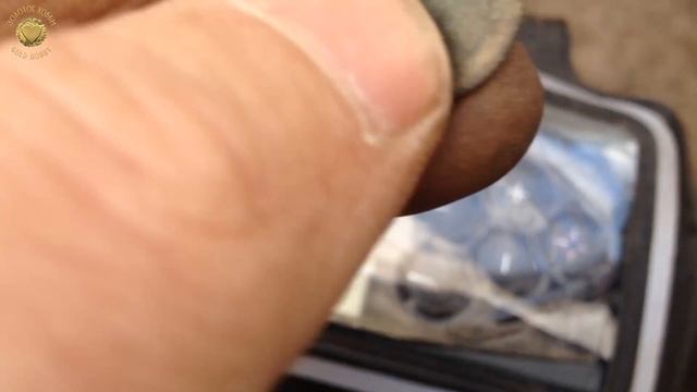 Через лес на заброшенный хутор: ЗА КЛАДОМ С КАМРАДОМ! Коп с XP Deus | Золотое Хобби смотреть онлайн