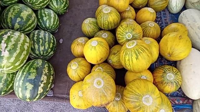 Ашроф бозор Тарвуз Ковун нархлари Валюта курси Пгт Пролетарск Дж Расулов 6 09 2022 й ? смотреть онлайн