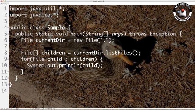 Java 8 Lambdas Hacking смотреть онлайн