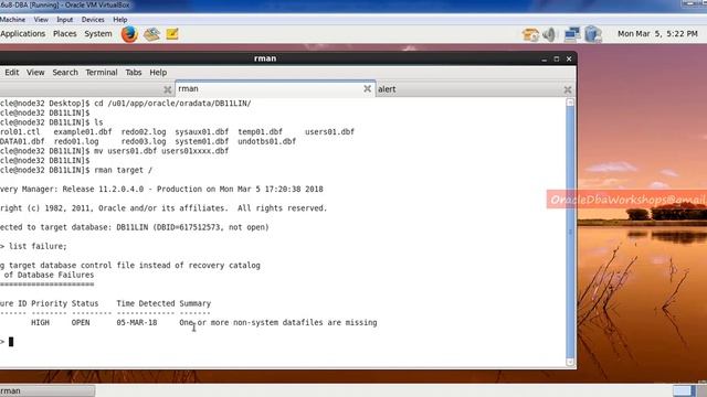 Simplified DBA-022-05-RMAN Data Recovery Advisor смотреть онлайн