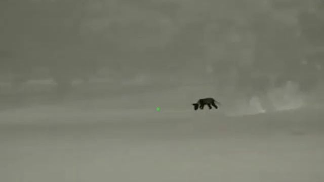 Rico RL42. смотреть онлайн