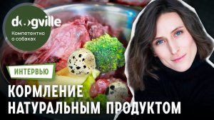 Натуральное кормление собаки – Интервью с владелицей Лабрадоров