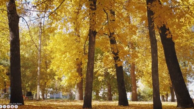 Шалунья осень ? Послушайте Эту Музыку И Вам Станет Легче. Прекрасен Наш Мир!Красивая Мелодия До Сле смотреть онлайн