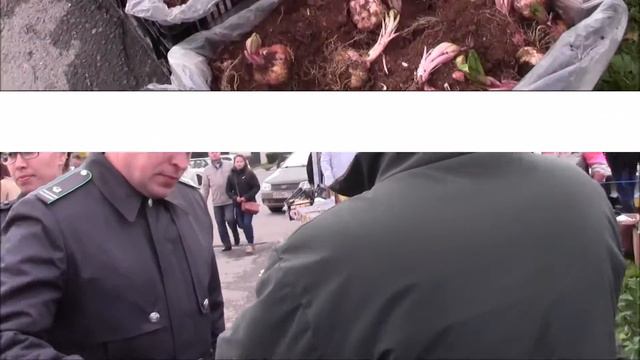 сельскохозяйственная ярмарка Медовый рябинник Пермь смотреть онлайн