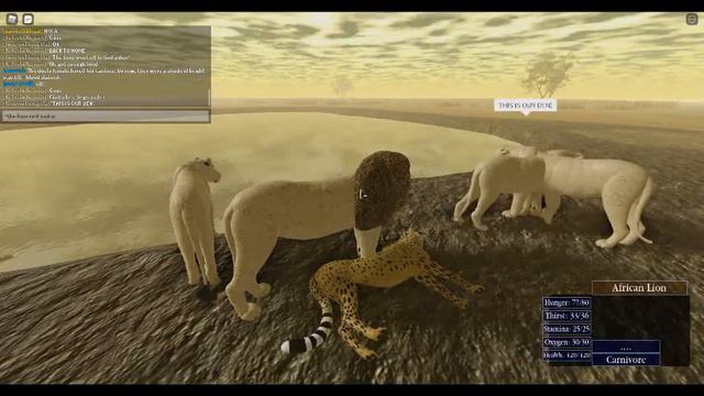 the lion pride(wild savannah rp) смотреть онлайн