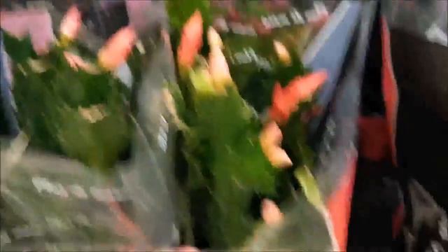 😉 Leia a descrição 😉 BORA LÁ P CARREFOUR,MINI PHALAENOPSIS Á 11 REAIS😱😱😱😱😱 (Shopping Tamboré,Baruer смотреть онлайн