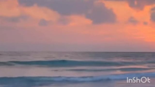 Медитация из Желтой тетради ВДА смотреть онлайн