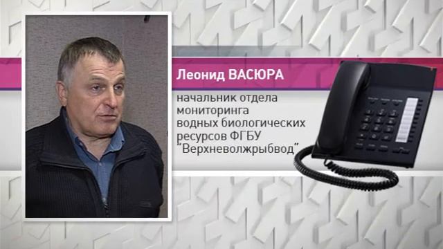 Комментарий к нересту смотреть онлайн