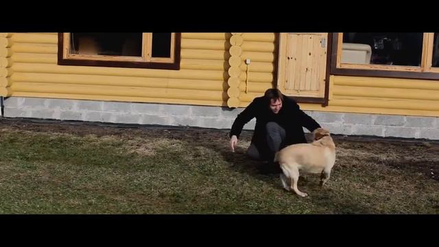 Yara Boss 44 Yariku44 (RUS) смотреть онлайн