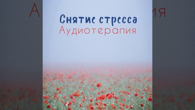 Духовная гармония смотреть онлайн