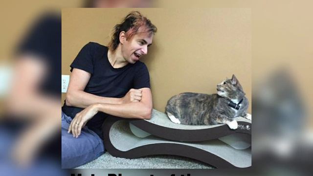 Msi- Planet of the apes (speed up + reverb) смотреть онлайн