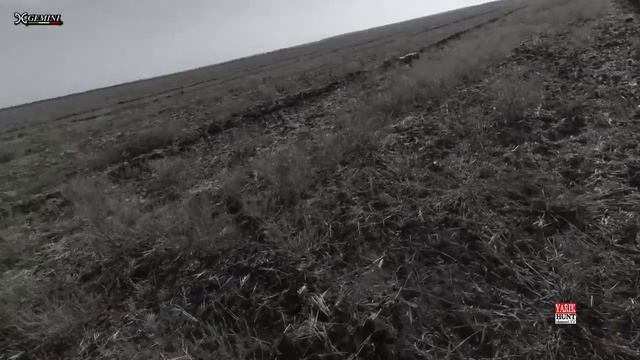 ?ОХОТА НА ЗАЙЦА С ПАТРОНОМ САМОКРУТ ДРОБЬ №3 ✅ЧОКИ ДЖЕМИНИ 0 15 ✅Ружье FABARM XLR 5 смотреть онлайн