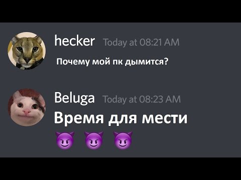 Белуга хацкает хацкера (РУССКАЯ ОЗВУЧКА И ПЕРЕВОД) смотреть онлайн
