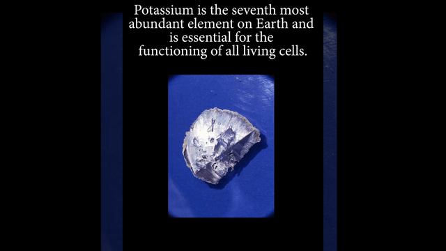 Did you know these facts about Potassium? смотреть онлайн