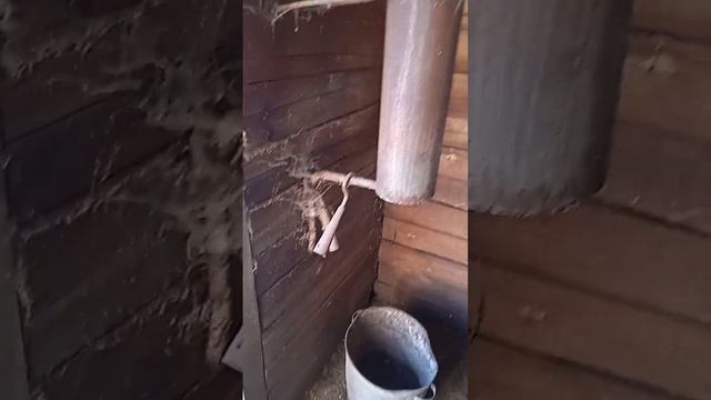 приусадебное хозяйство. смотреть онлайн