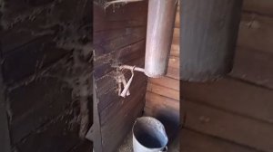 приусадебное хозяйство.