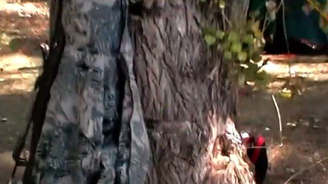 рыбалка Ахтуба ерик Затон 1 день ч2 смотреть онлайн