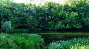 Когда  работает примета про ПУСТОЕ ВЕДРО? Какими ведрами нельзя пользоваться?