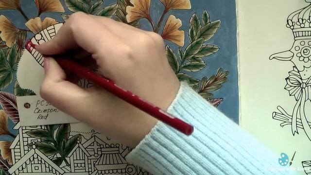 'Sagor och sägner' Coloring book. Polar Bear. Part 1/ Derwent Drawing pencils смотреть онлайн