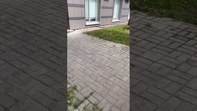 Бетонная отмостка вокруг дома