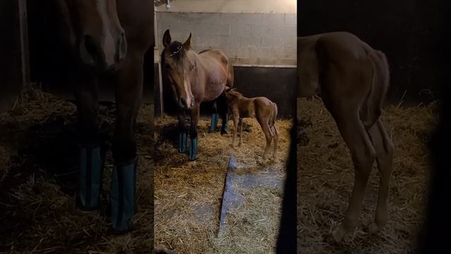 Lamberton Minnesota. May 30, 2022 смотреть онлайн