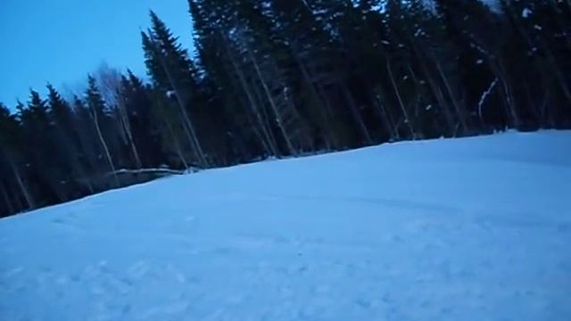 Bearcat 2009 Z1 Xt