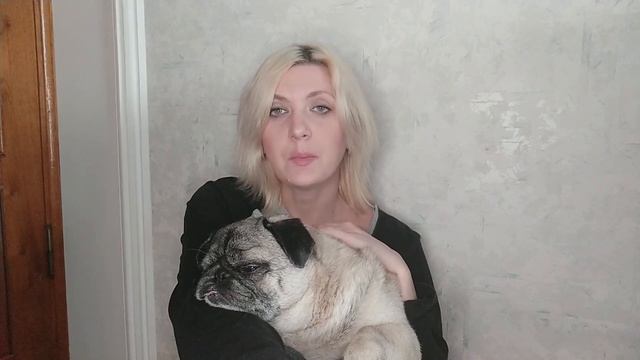 🤪АСМР болталка 🐾МОПС смотреть онлайн