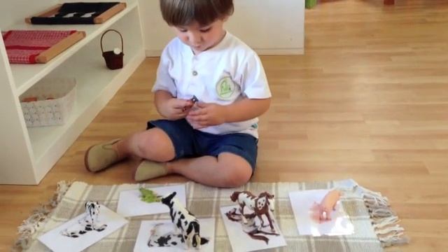 Монтессори Среда: Nido (малыши от 2 до 18 месяцев) и Toddlers (от 18 месяцев до 3 лет) смотреть онлайн