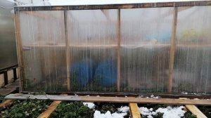 Плёнка Светлица