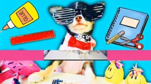 Видео про  семью мэджик петс (фан Ани мэджик)