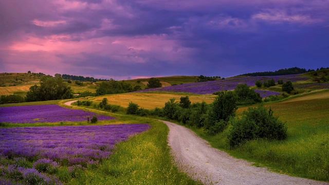 Aromatherapy Music - Lavender - Sanaphonie